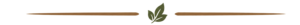 separator image