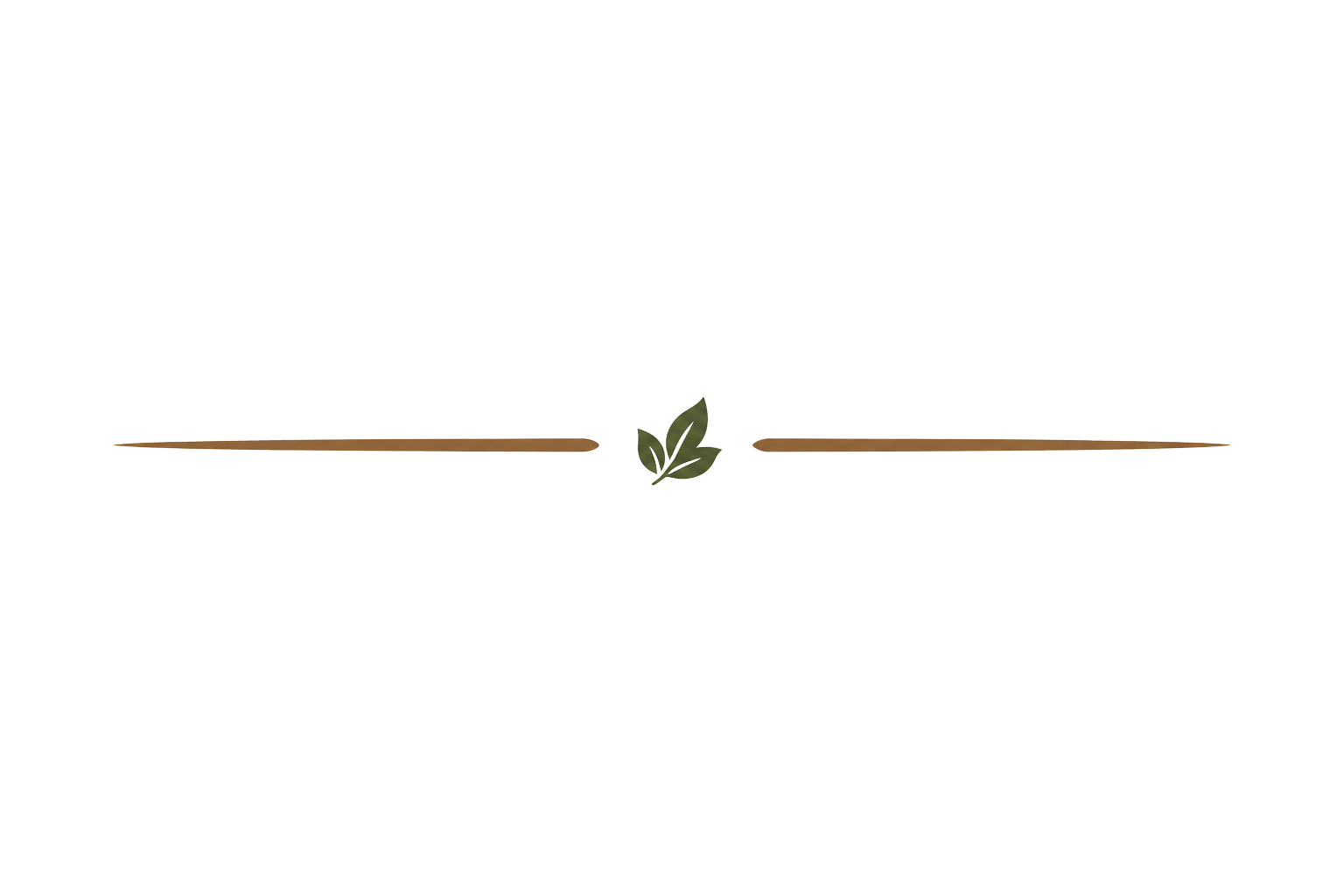 Separator Image