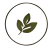 icon1